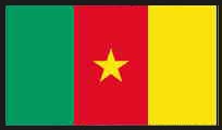 Cameroon NOVOSTIx