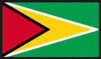 Guyana NOVOSTIx